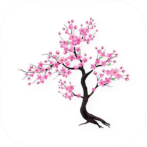 Timefully - Meditationstimer